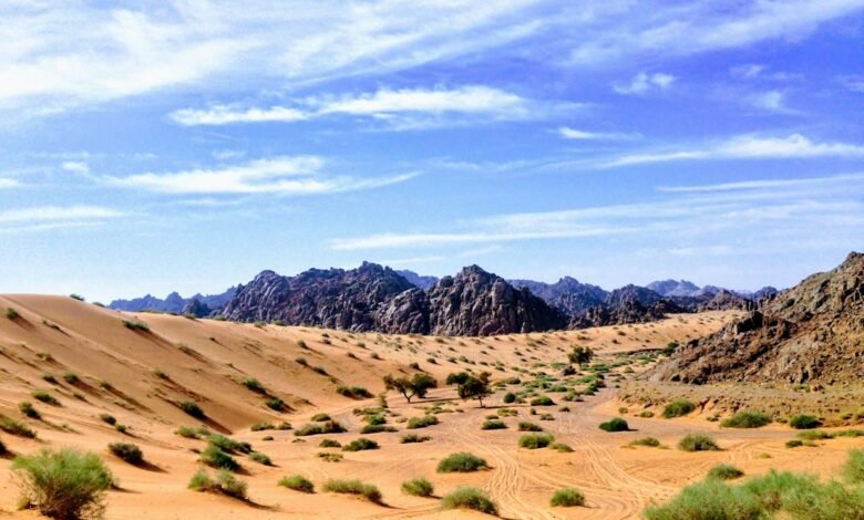 صورة تعبيرية لتكوينات جيولوجية وصحراوية في السعودية