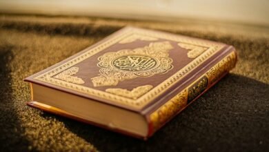 مصحف مفتوح - صورة تعبيرية لمادة قصة نوح عليه السلام