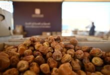 فعاليات موسم تمور العلا السابع 2026